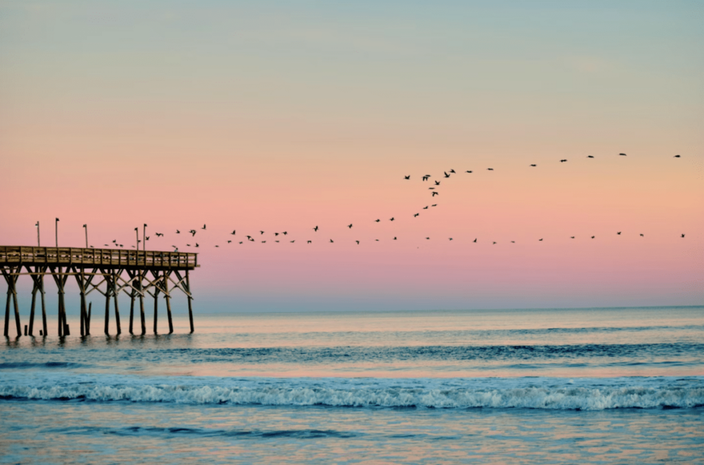 The Best Rental Homes in Kure and Carolina Beach