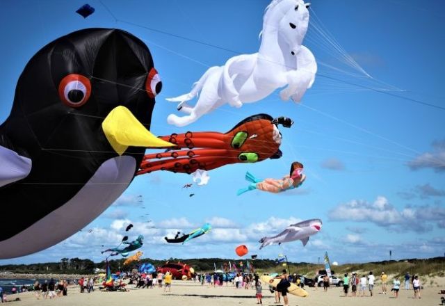 Cape Fear Kite Festival Event