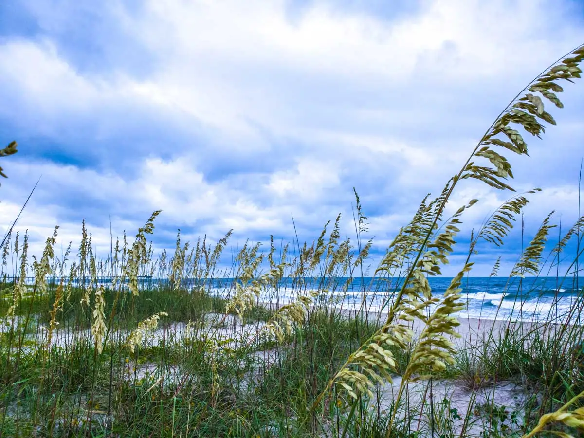 Thing To Do Carolina Beach Rentals